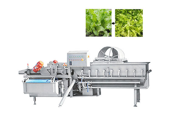 автомат для резки салата резца лист зеленого цвета 1000kg/H для овоща фруктового салата