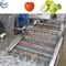 Стиральная машина овощей стиральной машины воздушного пузыря электрической Вегетабле шайбы СУС304 Вегетабле