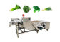 Приносит плоды стиральная машина овоща 380V с транспортером