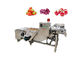 Портативная стиральная машина овоща 500kg/Hour и плода