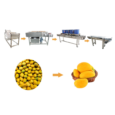 Технологическая линия манго стиральной машины овоща SS304 и плода