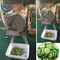 Резец зеленого густолиственного овоща предприятий ресторанного обслуживании, автомат для резки картошки