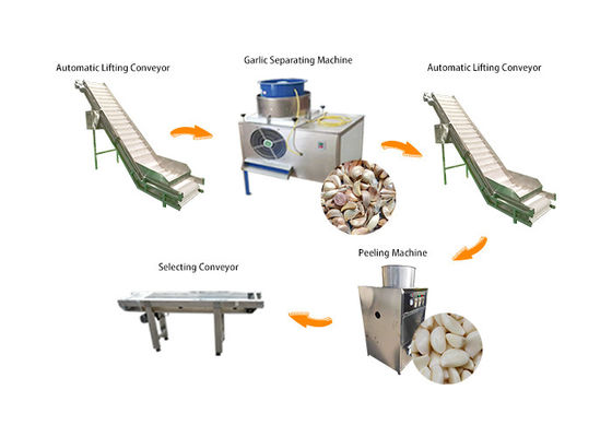 автоматическая емкость производственной линии 2000kg/h машины шелушения чеснока 7kw